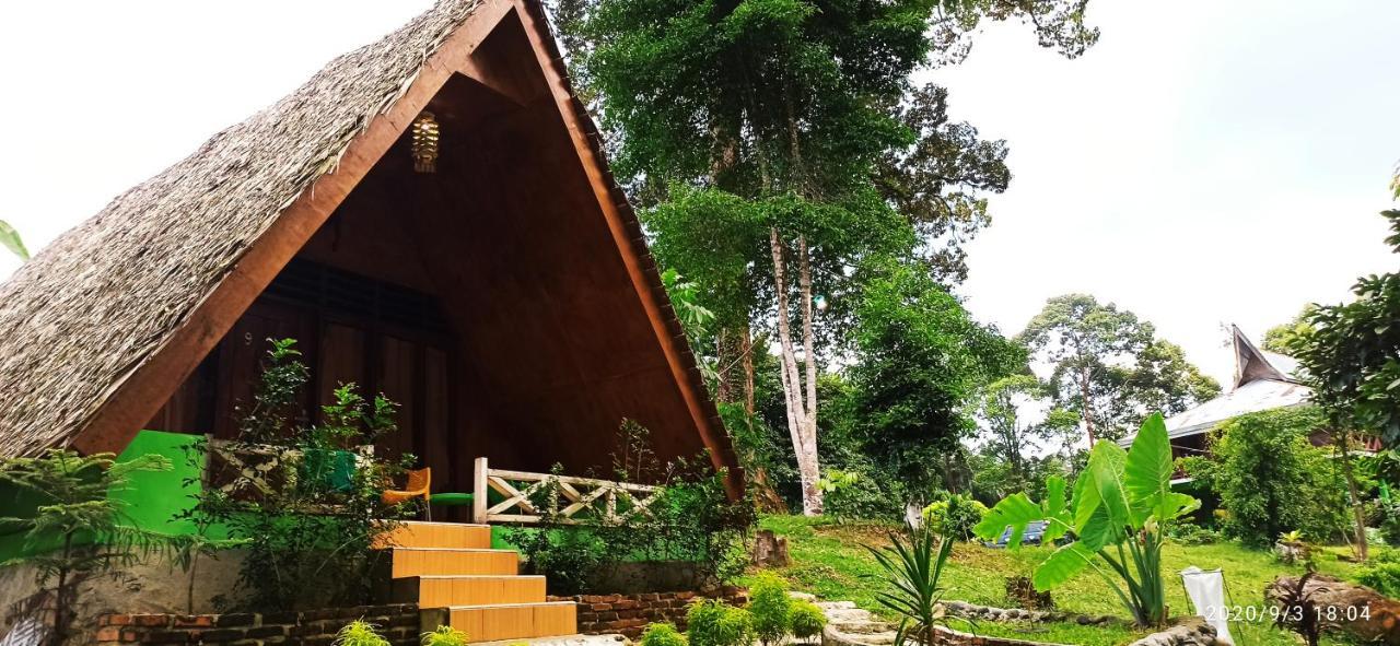 Green Forest Tangkahan Экстерьер фото