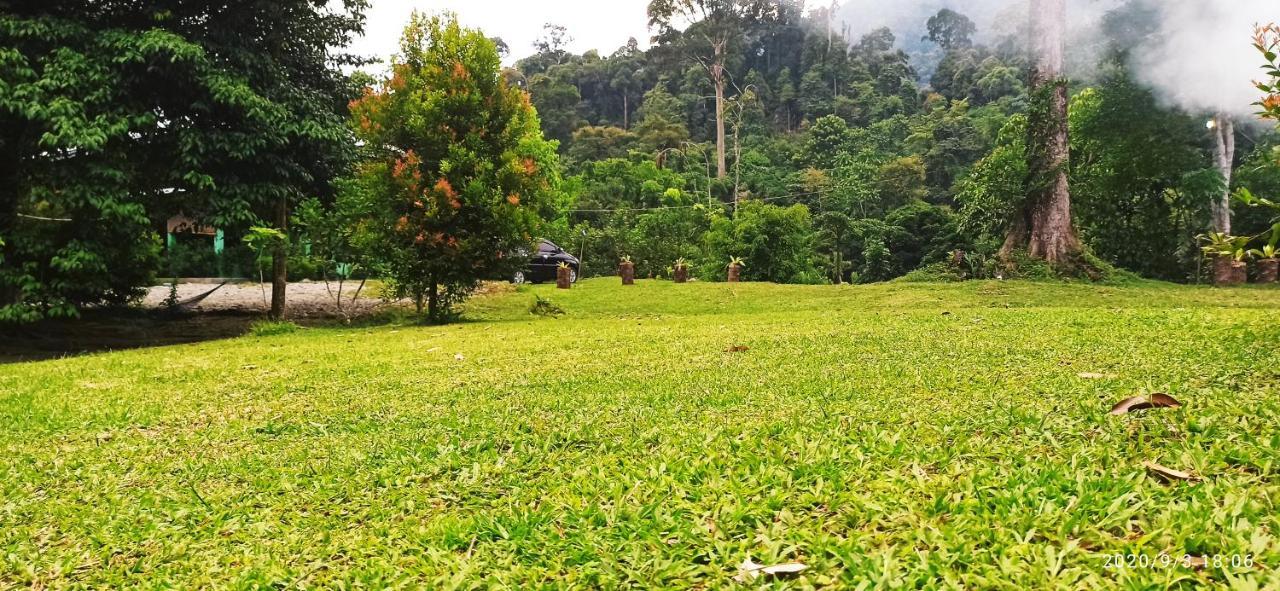 Green Forest Tangkahan Экстерьер фото