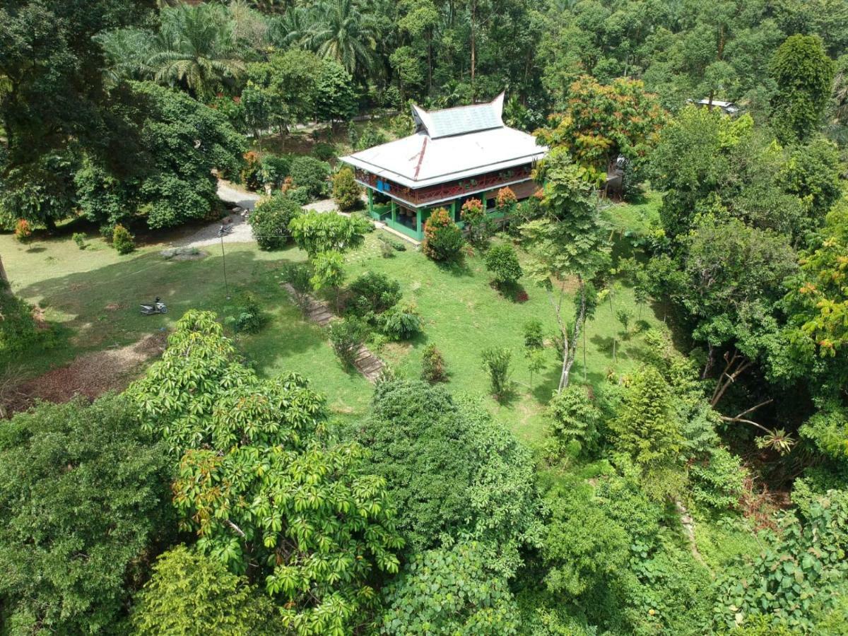 Green Forest Tangkahan Экстерьер фото