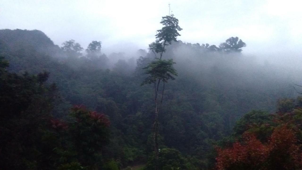 Green Forest Tangkahan Экстерьер фото