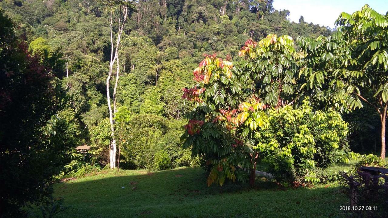 Green Forest Tangkahan Экстерьер фото