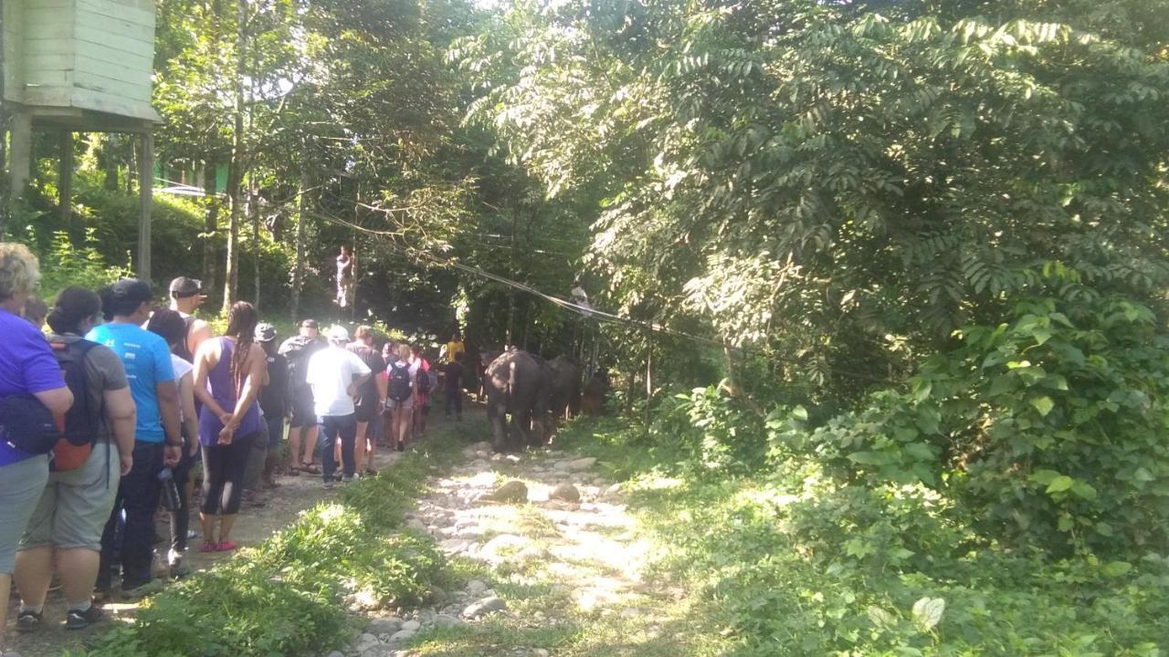 Green Forest Tangkahan Экстерьер фото